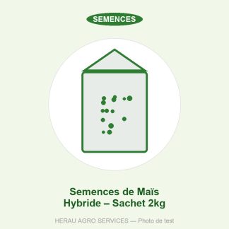 Semences de Maïs Hybride – Sachet 2kg