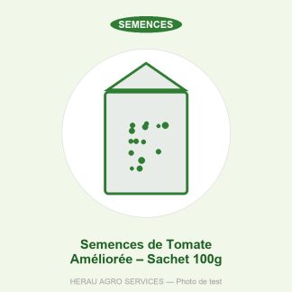 Semences de Tomate Améliorée – Sachet 100g